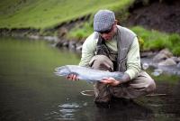 Bifogad bild: seatrout_heidar_1096web.jpg